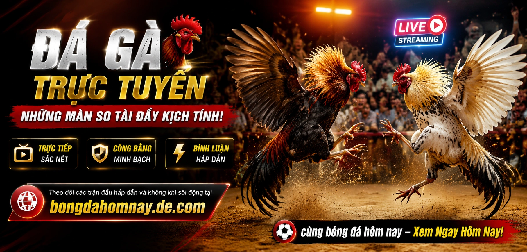 Không khí đá gà trực tuyến với góc nhìn cận trận