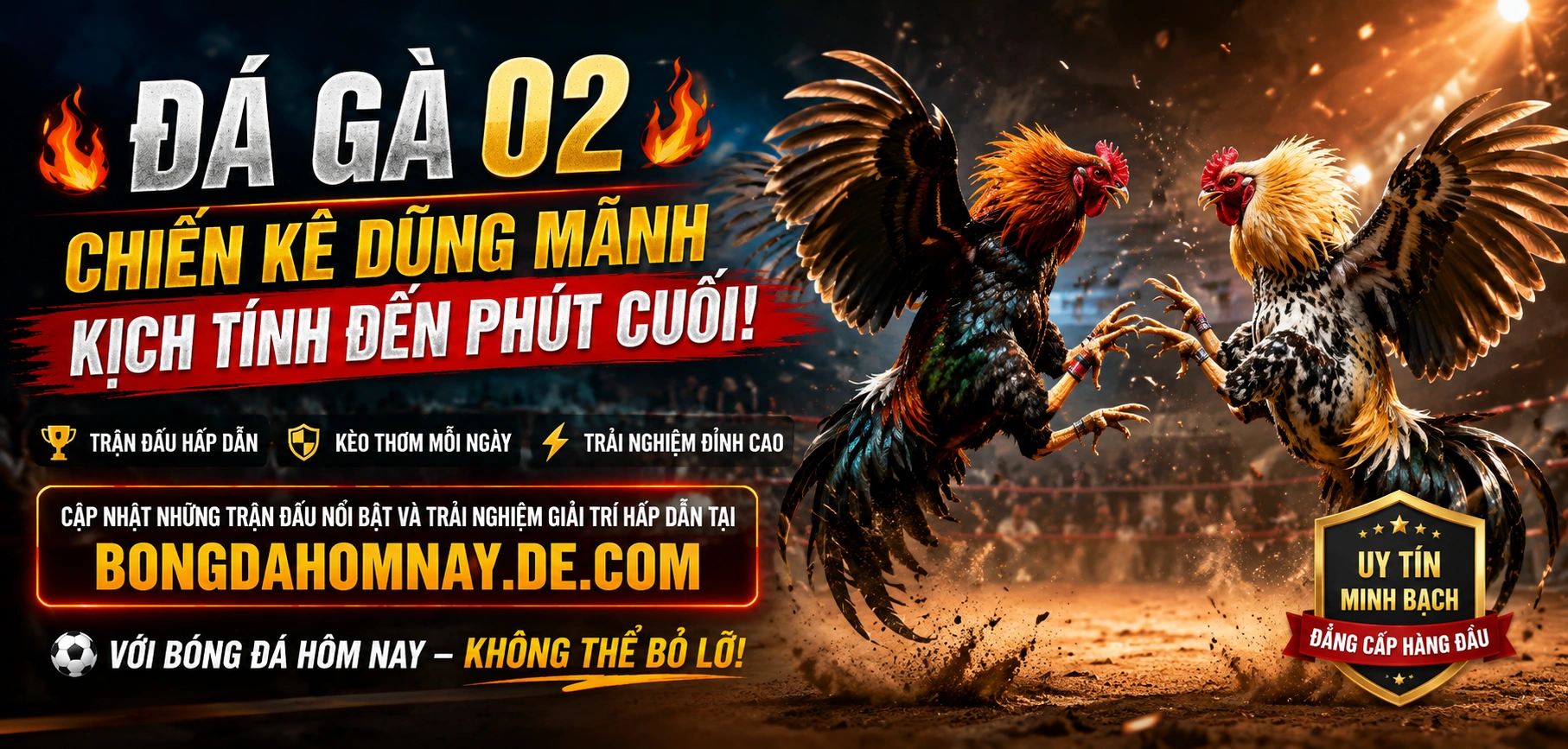 Giao diện xem đá gà online và theo dõi tỷ lệ