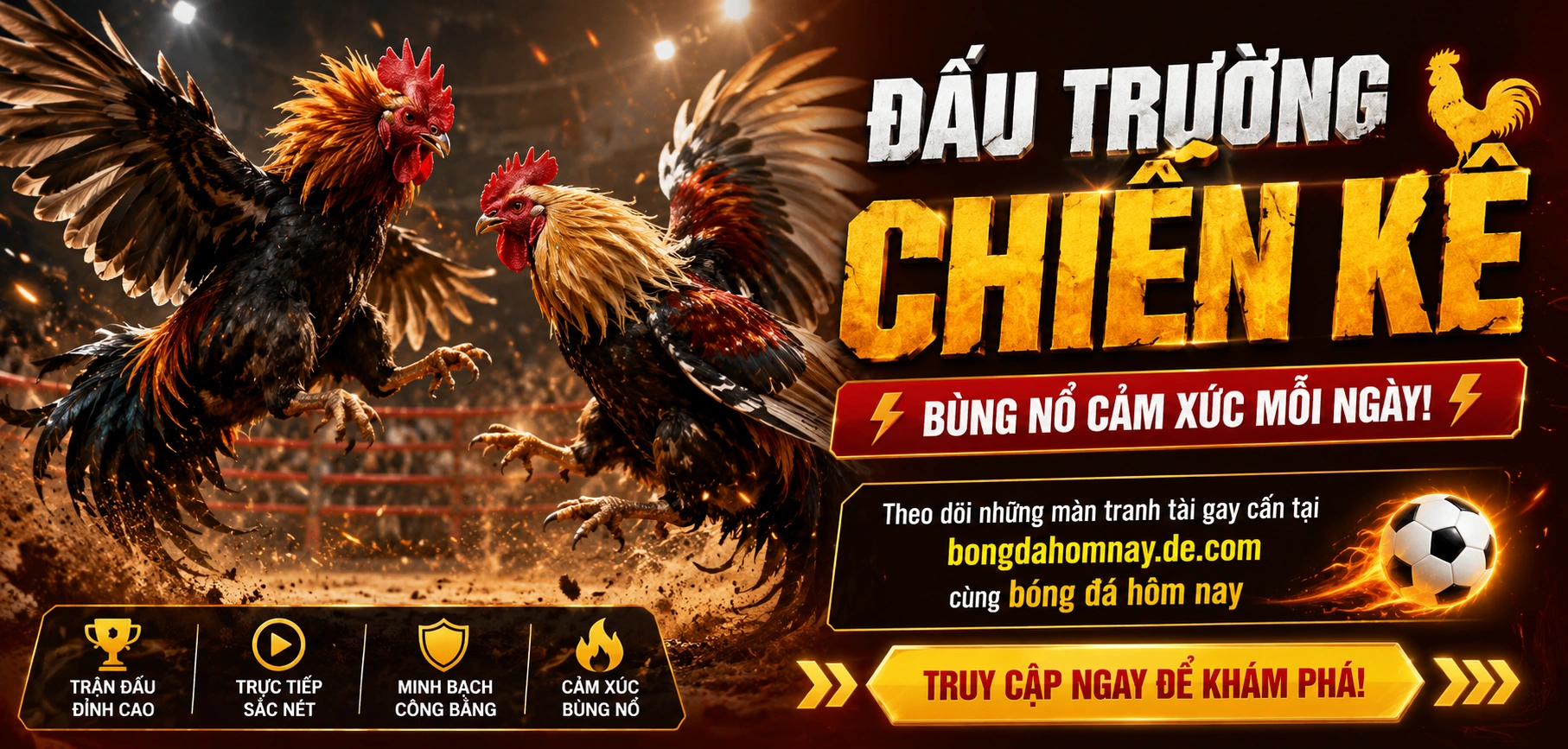 Sân đấu đá gà Campuchia với nhịp xem và đọc kèo